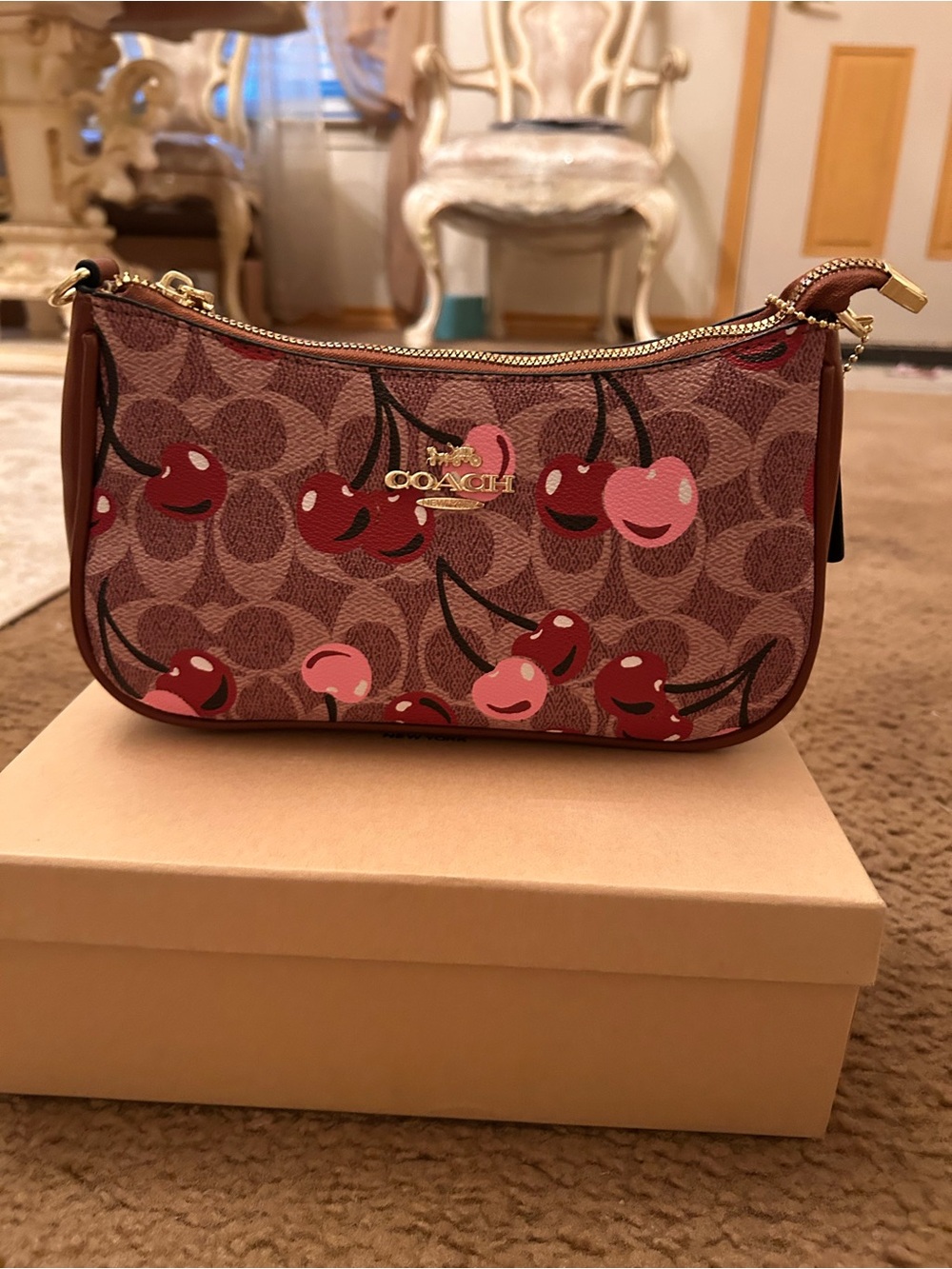 Coach Mini Shoulder Bag with Cherry Print in Brown and Pink